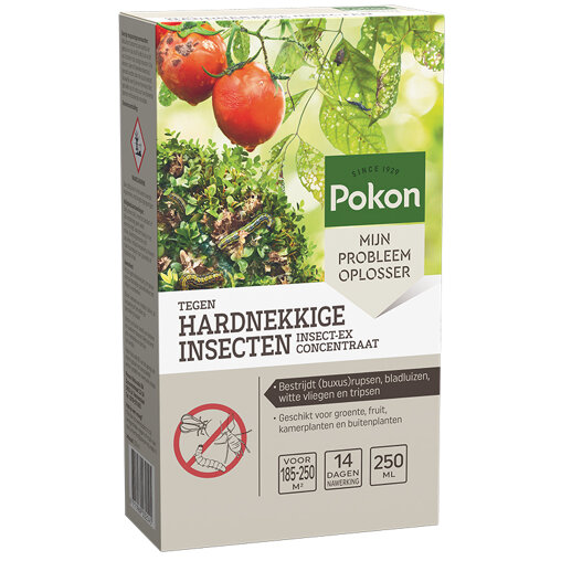 Pokon Tegen Hardnekkige Insecten Concentraat